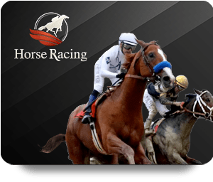 VF555 Bet Online: Exploring Popular Casino Games and Features